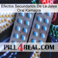 Kamagra Oral Jelly Side Effects viagra4